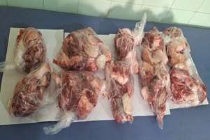 حمایت از مادران باردار بی بضاعت